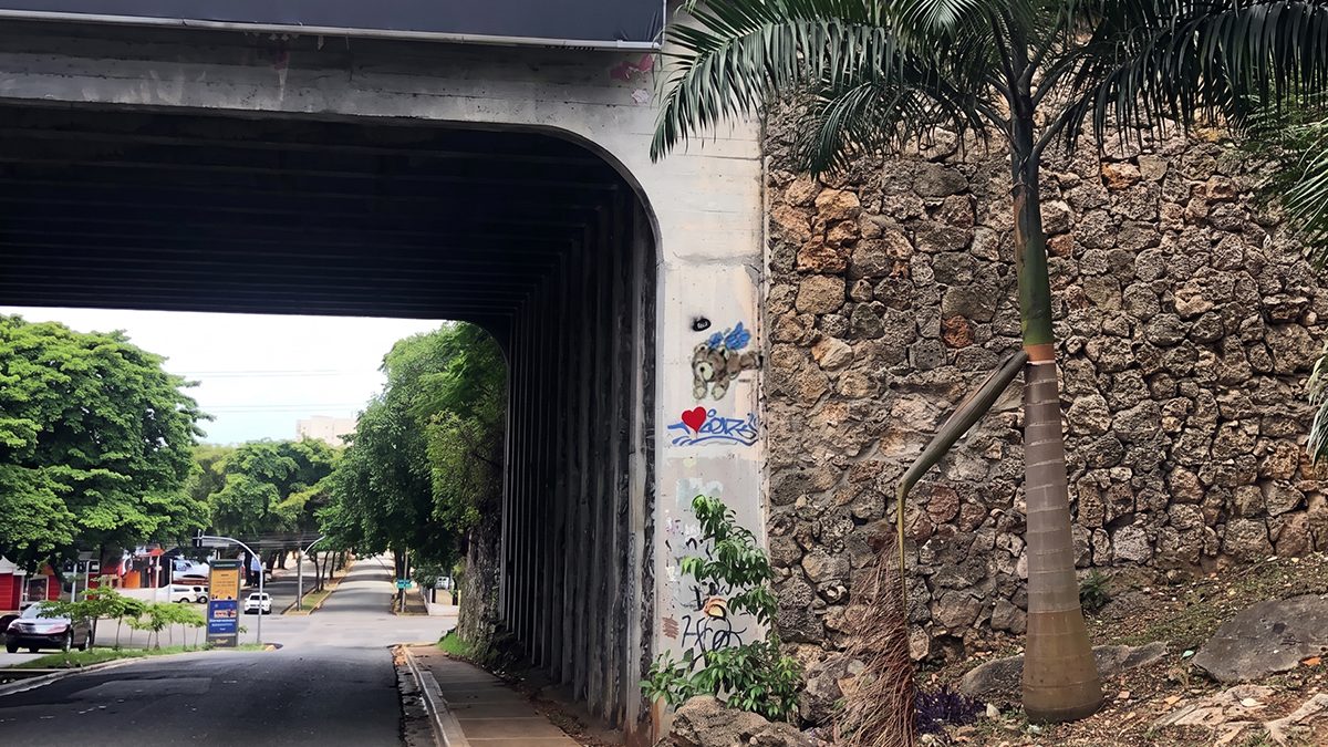 TB – Mirador Sur –