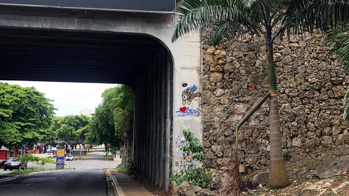 TB – Mirador Sur –