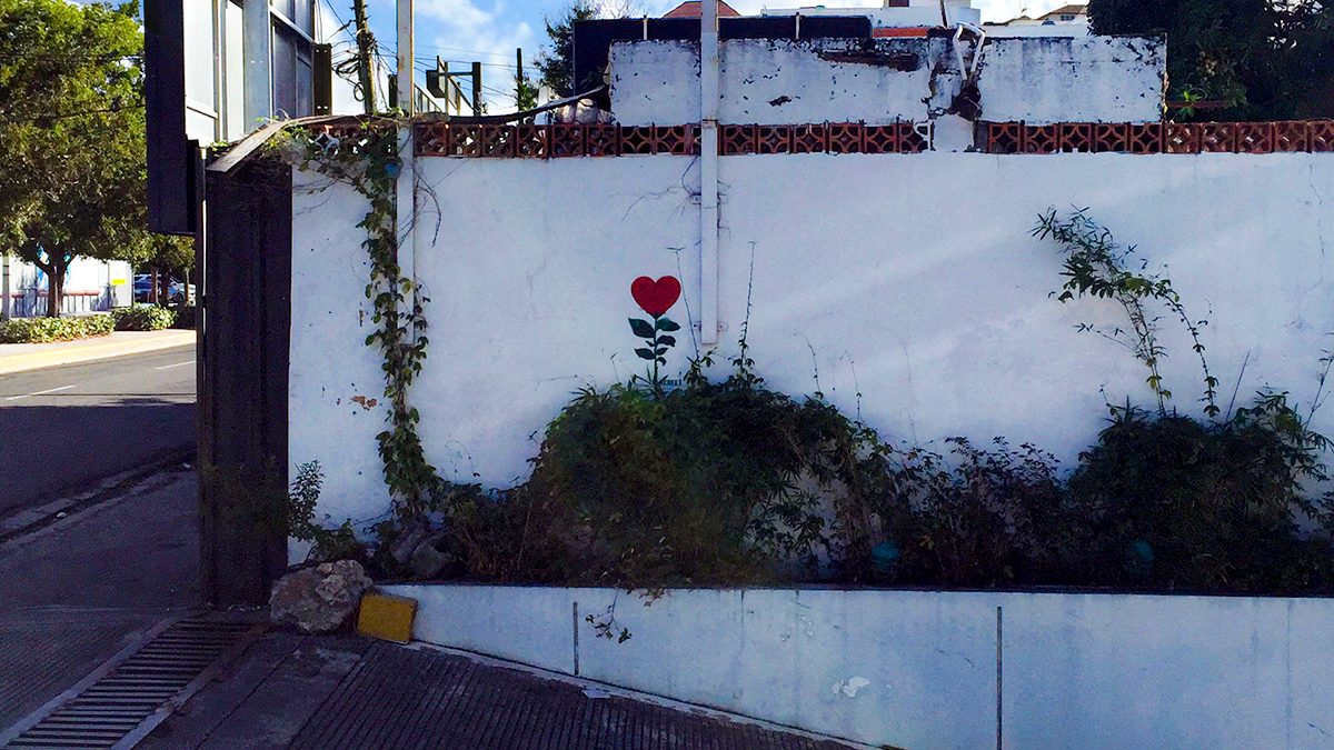 Coraflor – Printeria –